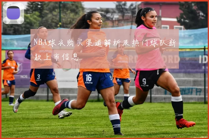 NBA球衣购买渠道解析及热门球队新款上市信息