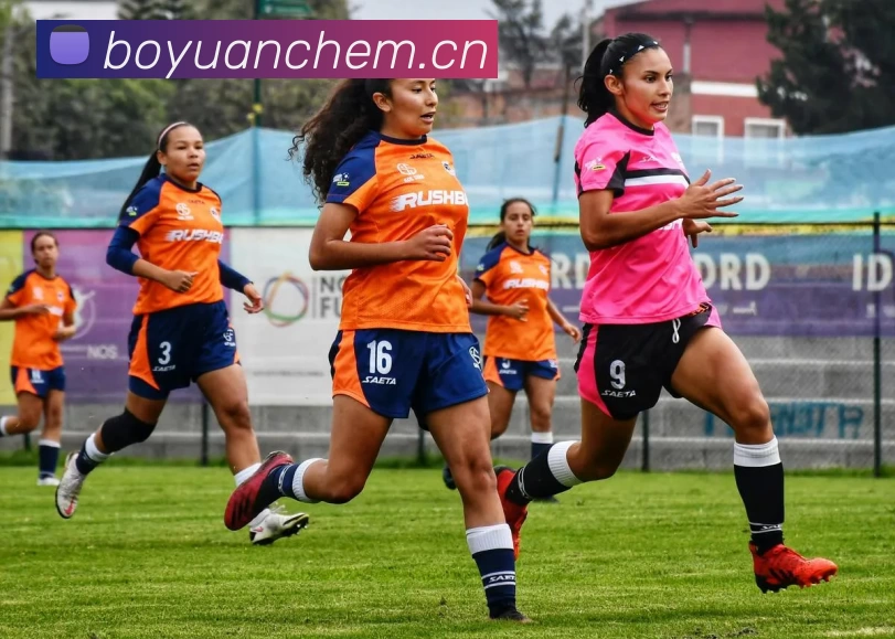 米乐(MILE) 官方网站 - 精彩无止境平台生态图